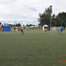 turt 14